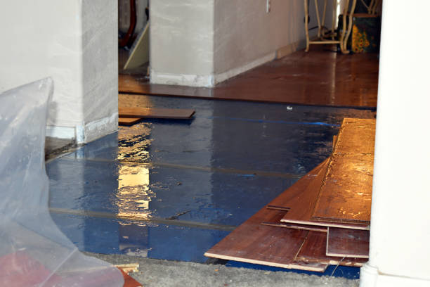 Professional Basement Flood Cleanup technician working in Klamath, CA